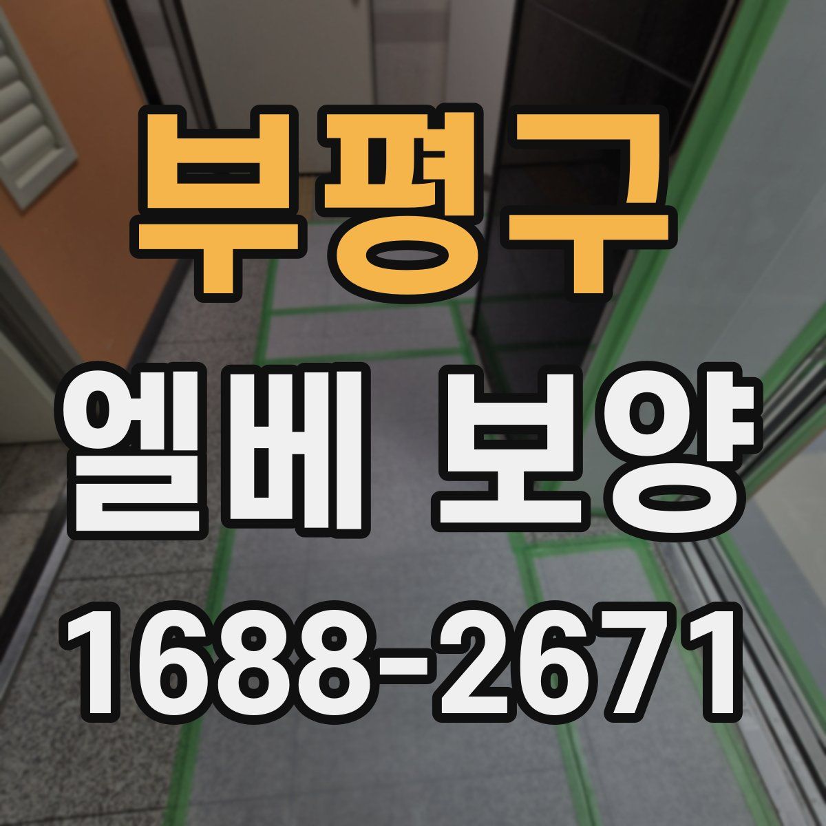 부평구 엘베 보양