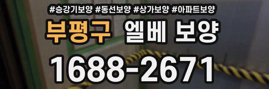부평구 엘베 보양