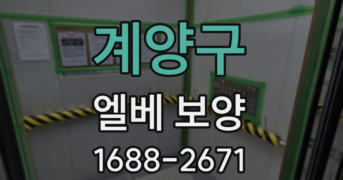계양구 엘베 보양