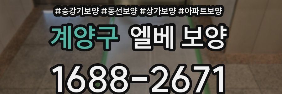 계양구 엘베 보양