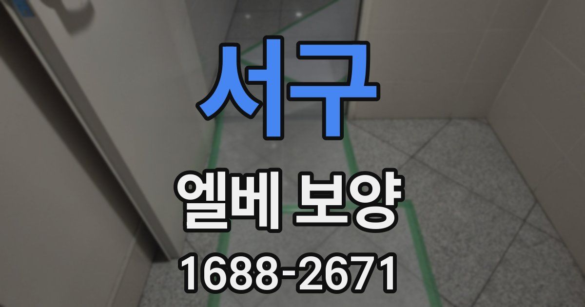 서구 엘베 보양