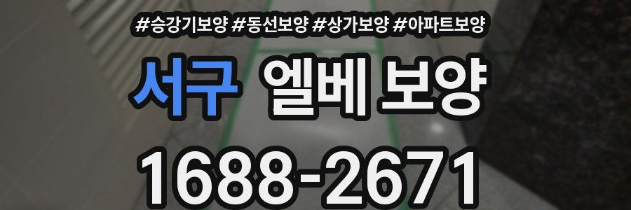 서구 엘베 보양