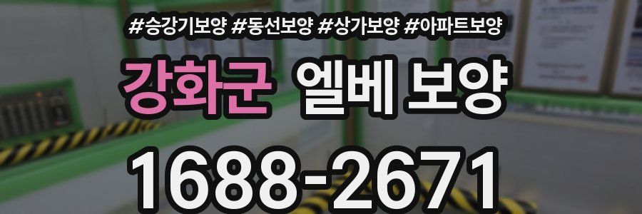 강화군 엘베 보양