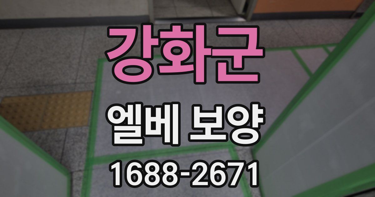 강화군 엘베 보양