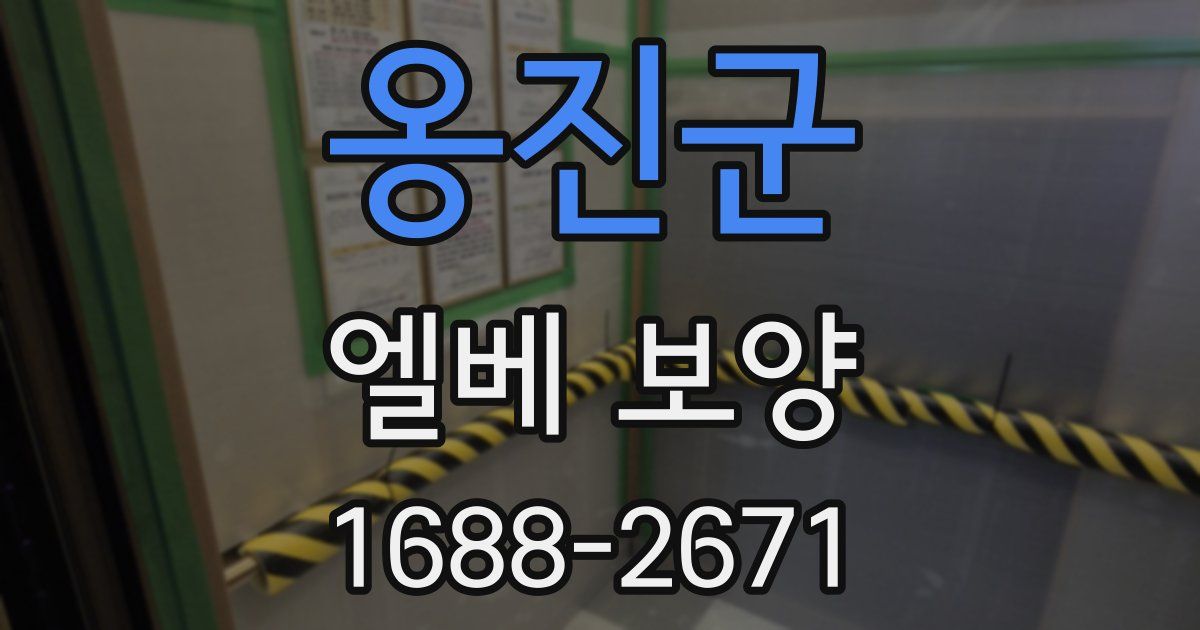 옹진군 엘베 보양