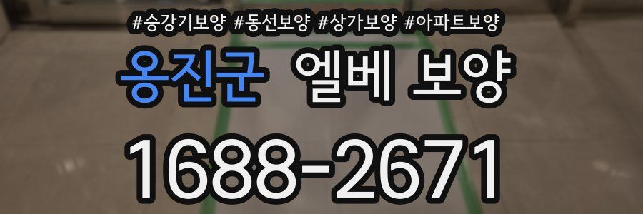 옹진군 엘베 보양