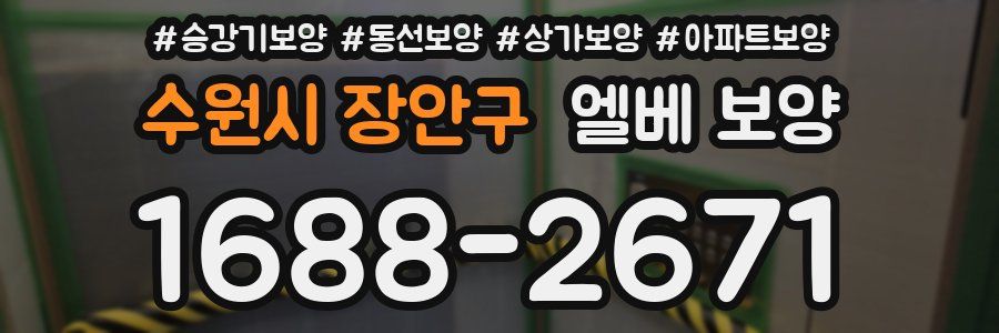 수원시 장안구 엘베 보양