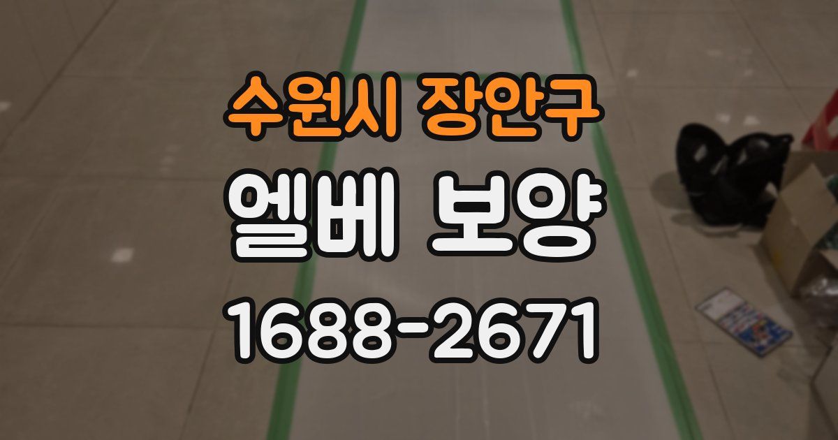 수원시 장안구 엘베 보양