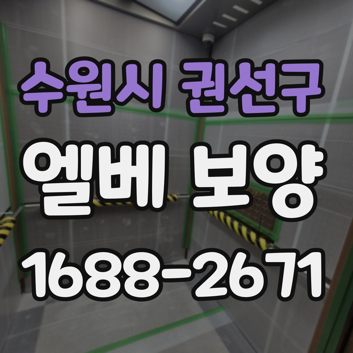 수원시 권선구 엘베 보양