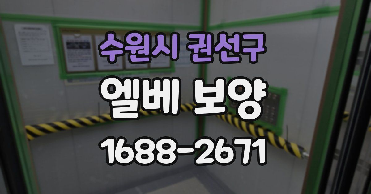 수원시 권선구 엘베 보양