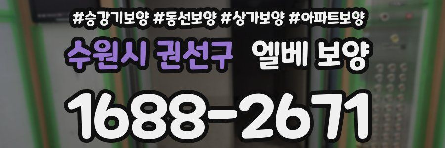 수원시 권선구 엘베 보양