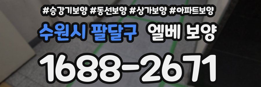 수원시 팔달구 엘베 보양