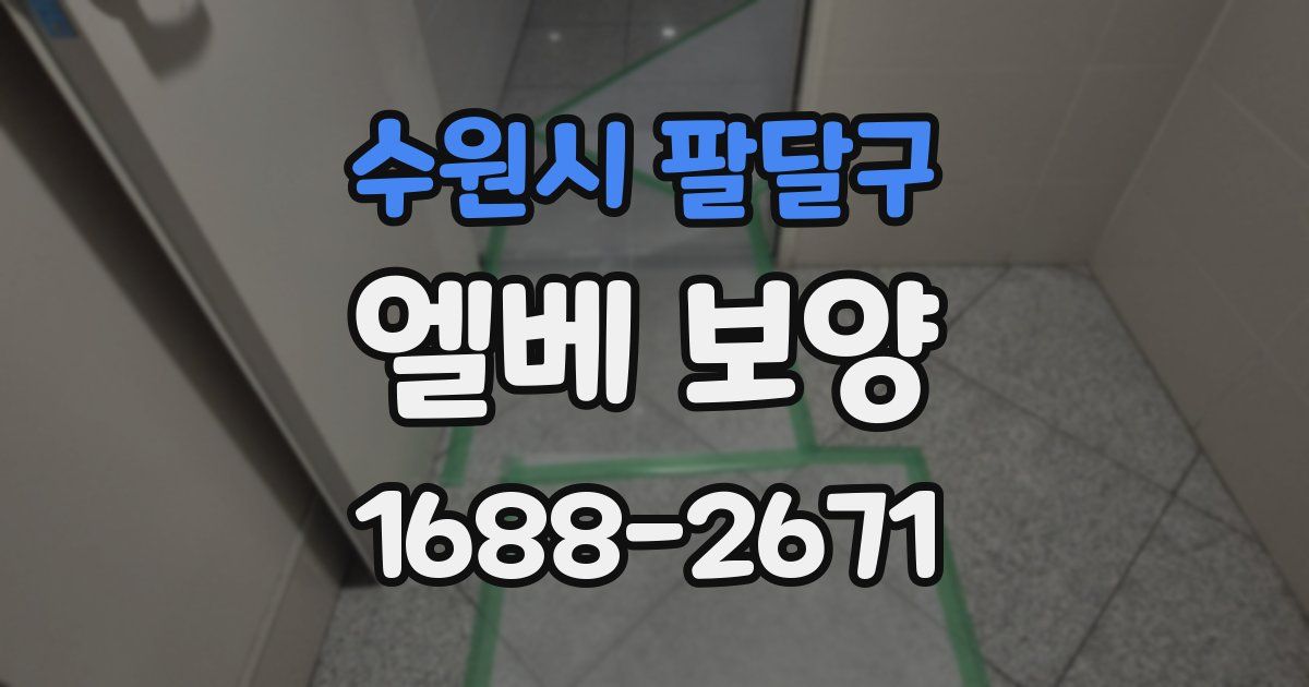 수원시 팔달구 엘베 보양
