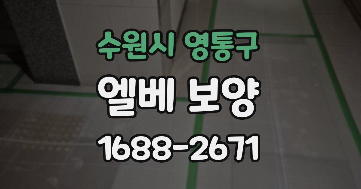 수원시 영통구 엘베 보양
