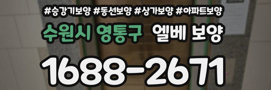 수원시 영통구 엘베 보양