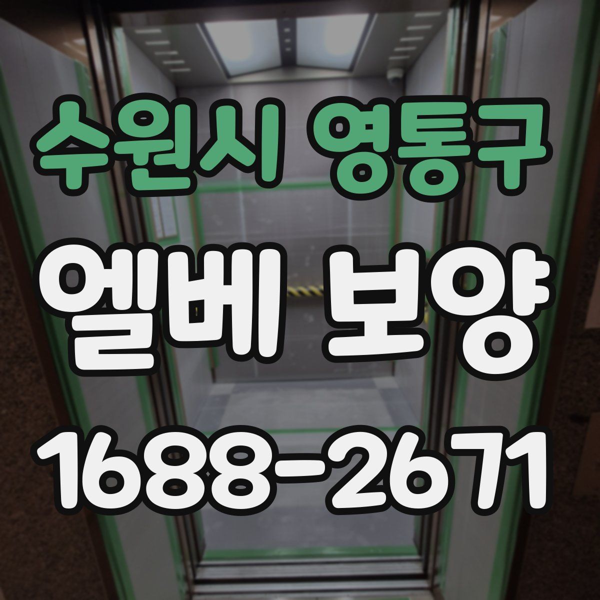 수원시 영통구 엘베 보양