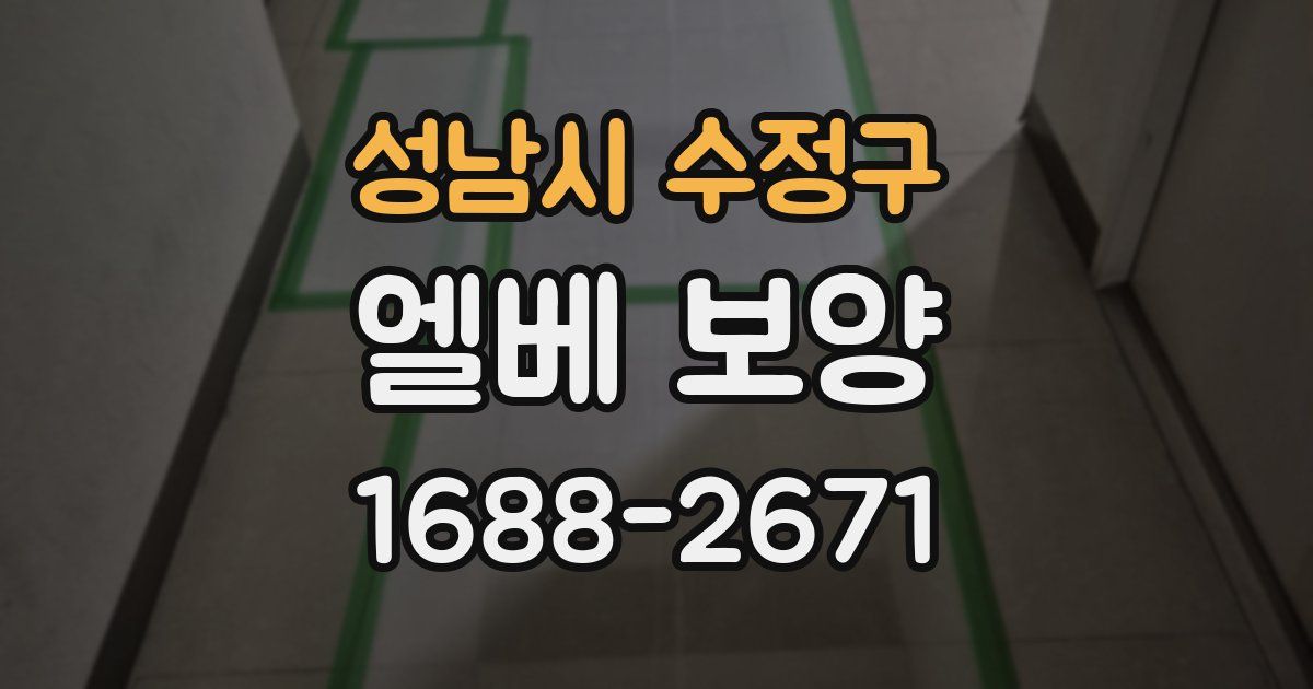 성남시 수정구 엘베 보양