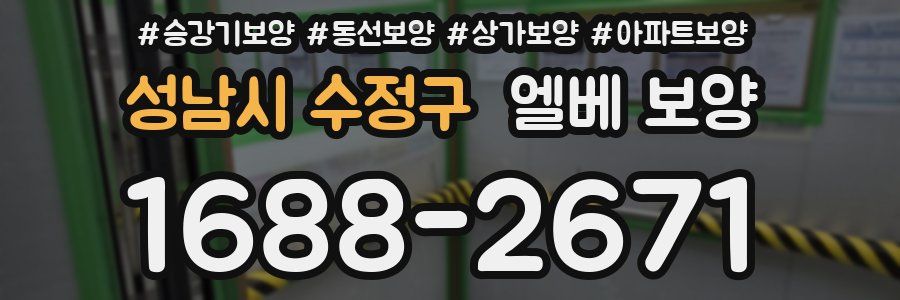 성남시 수정구 엘베 보양