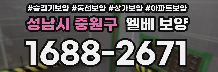 성남시 중원구 엘베 보양