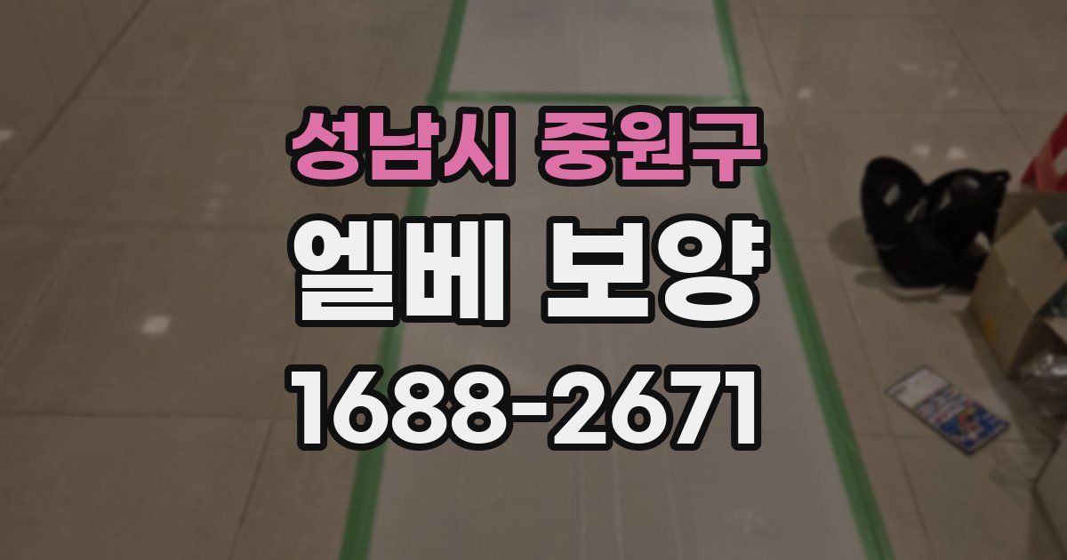 성남시 중원구 엘베 보양