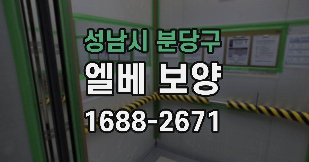 성남시 분당구 엘베 보양