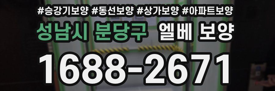 성남시 분당구 엘베 보양
