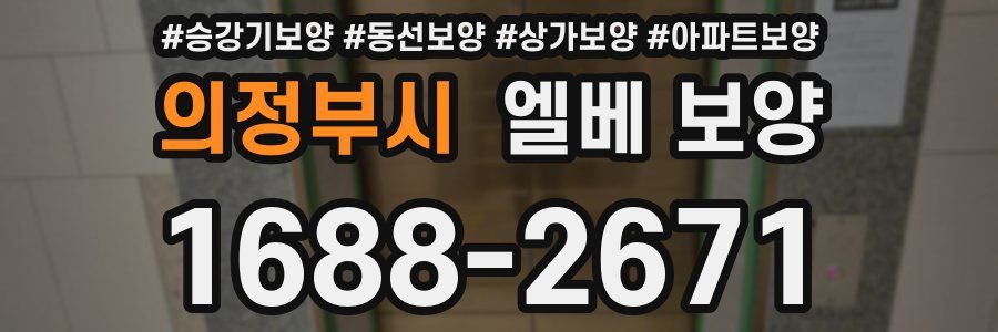 의정부시 엘베 보양