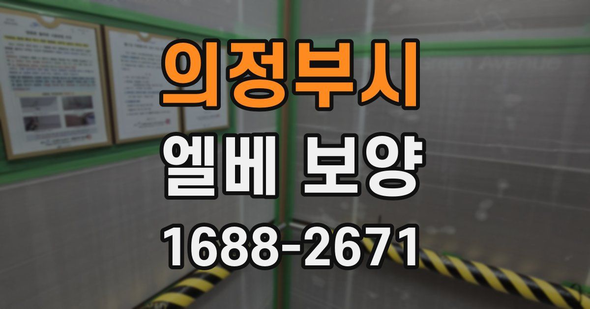 의정부시 엘베 보양