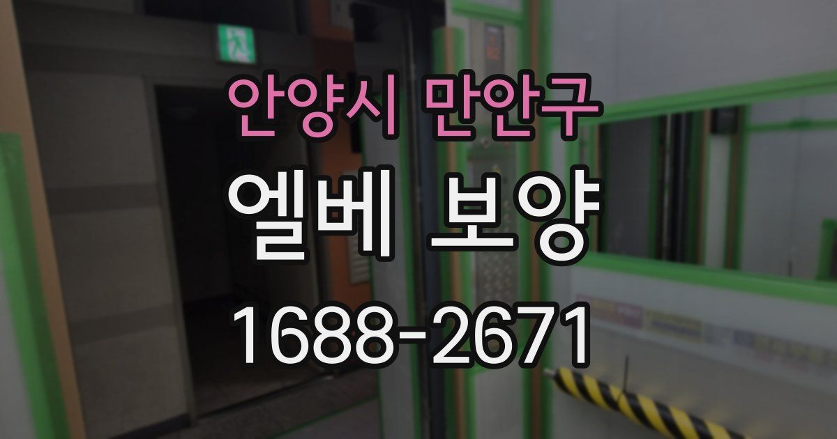 안양시 만안구 엘베 보양
