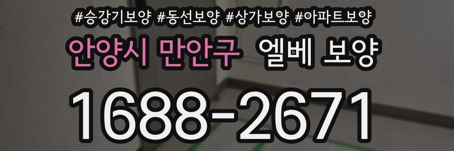 안양시 만안구 엘베 보양