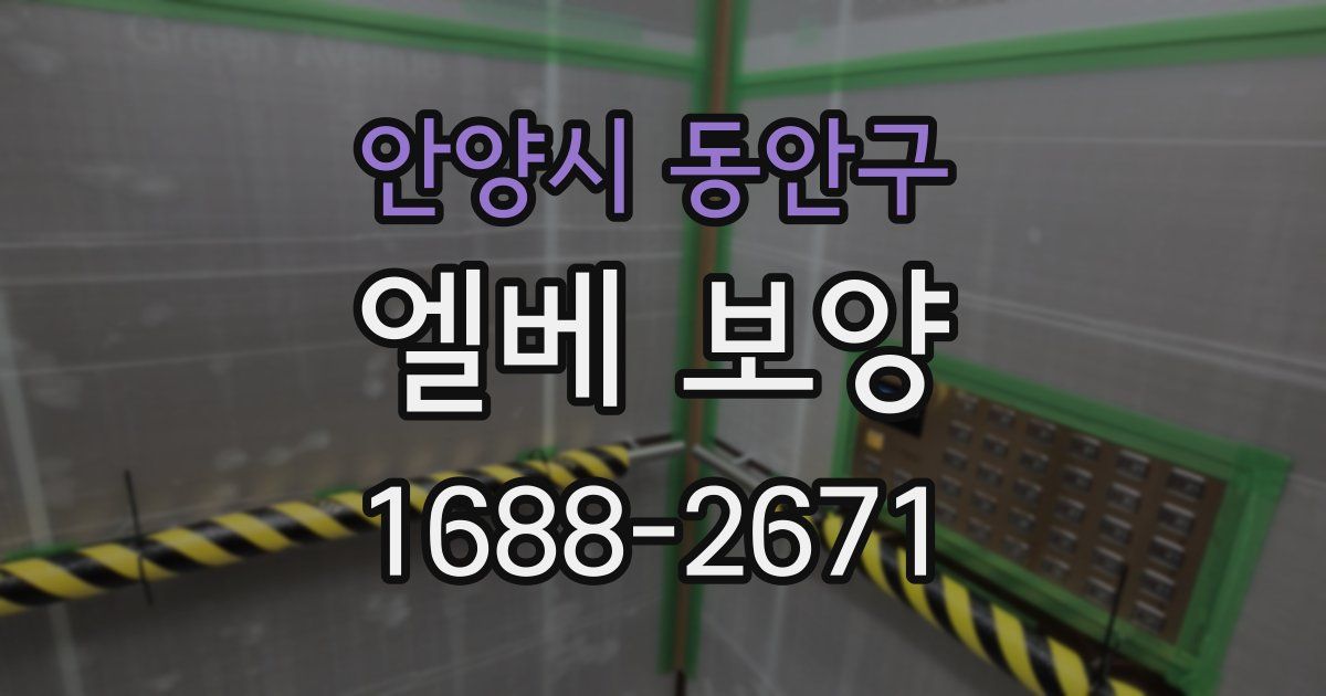 안양시 동안구 엘베 보양