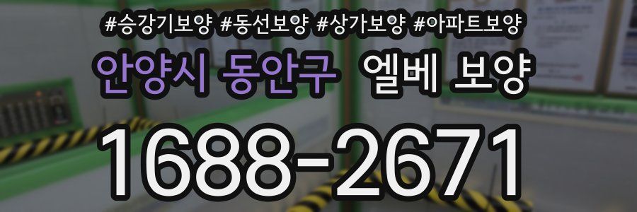 안양시 동안구 엘베 보양