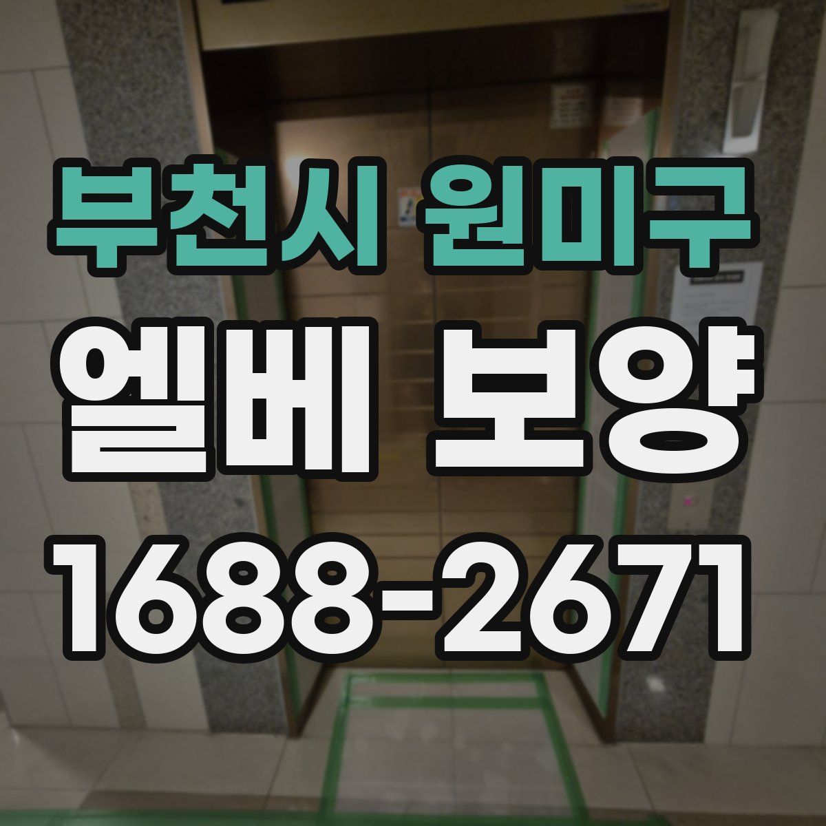 부천시 원미구 엘베 보양