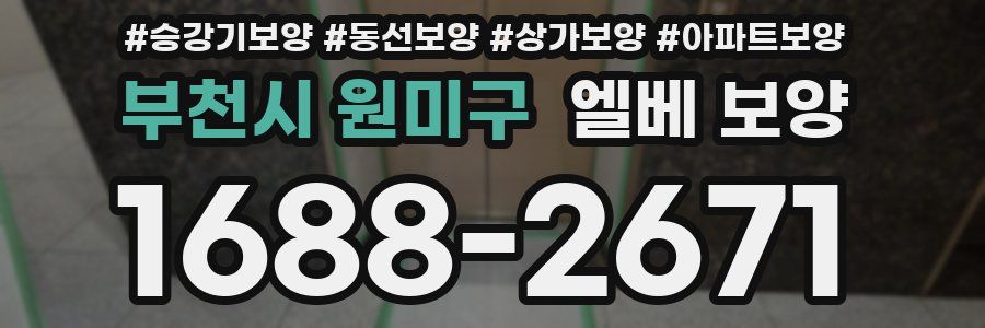 부천시 원미구 엘베 보양