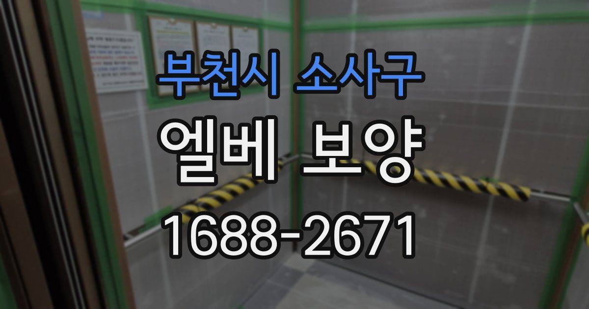 부천시 소사구 엘베 보양