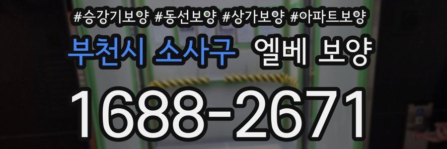 부천시 소사구 엘베 보양