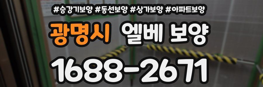 광명시 엘베 보양