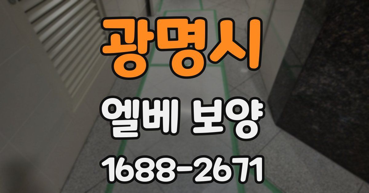 광명시 엘베 보양
