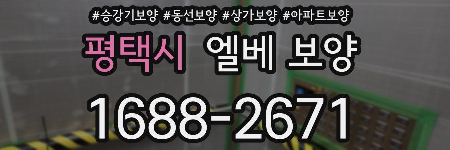 평택시 엘베 보양