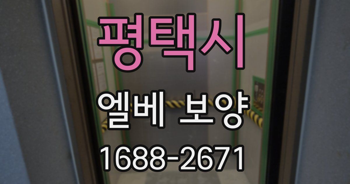 평택시 엘베 보양