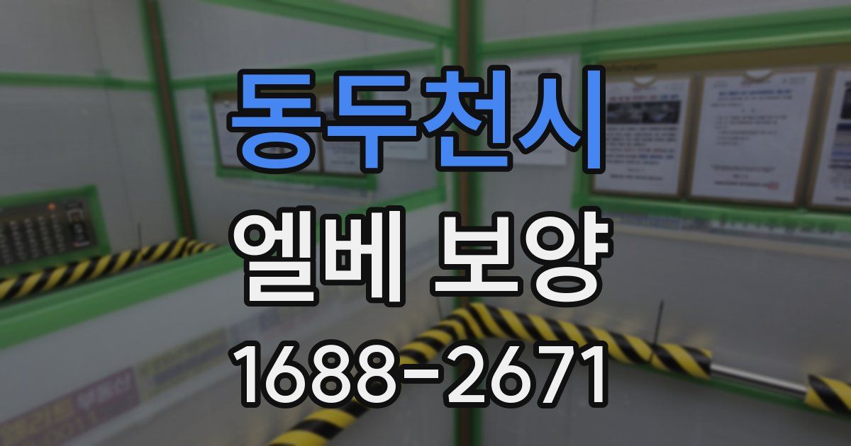 동두천시 엘베 보양