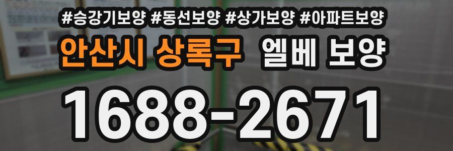 안산시 상록구 엘베 보양