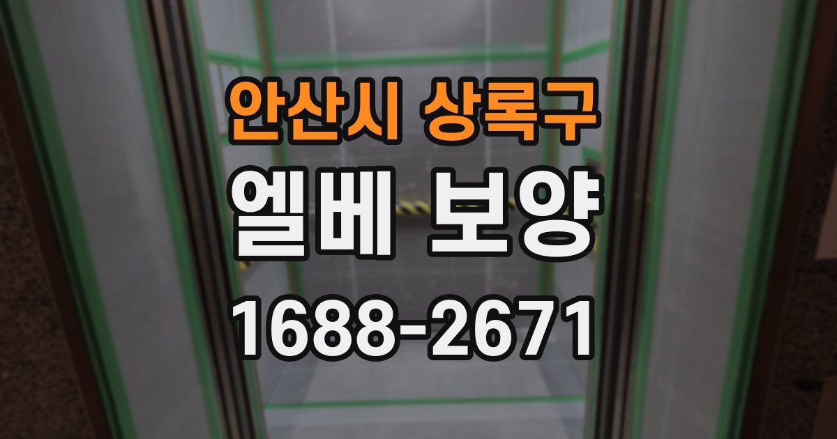 안산시 상록구 엘베 보양