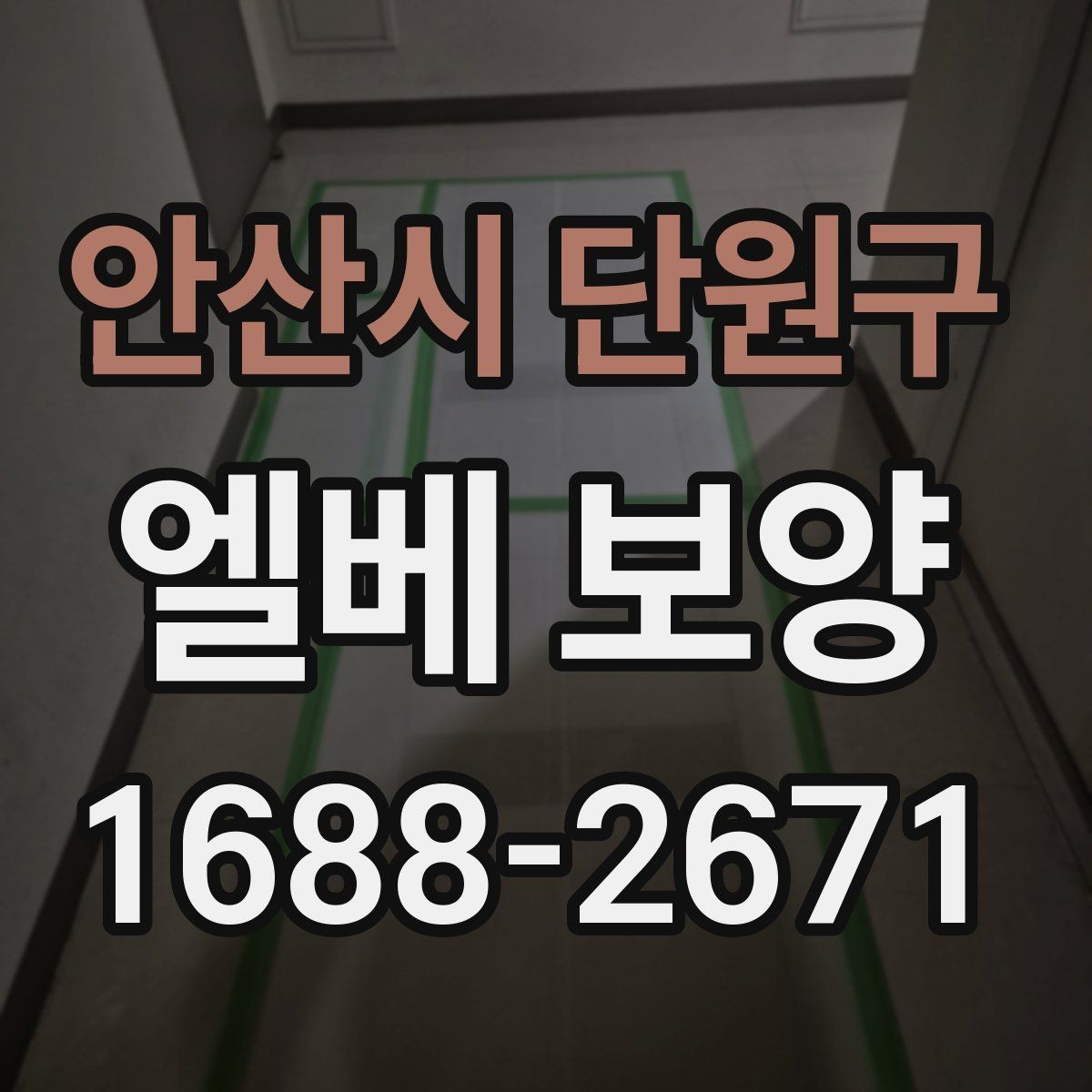 안산시 단원구 엘베 보양 공용 승강기 사용 전 점검 항목