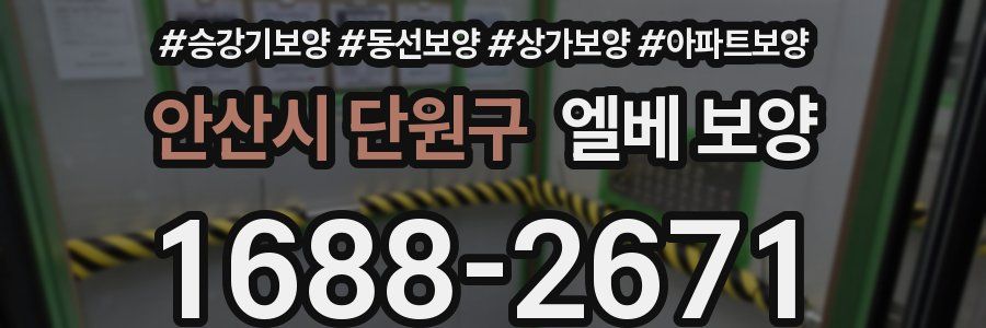 안산시 단원구 엘베 보양