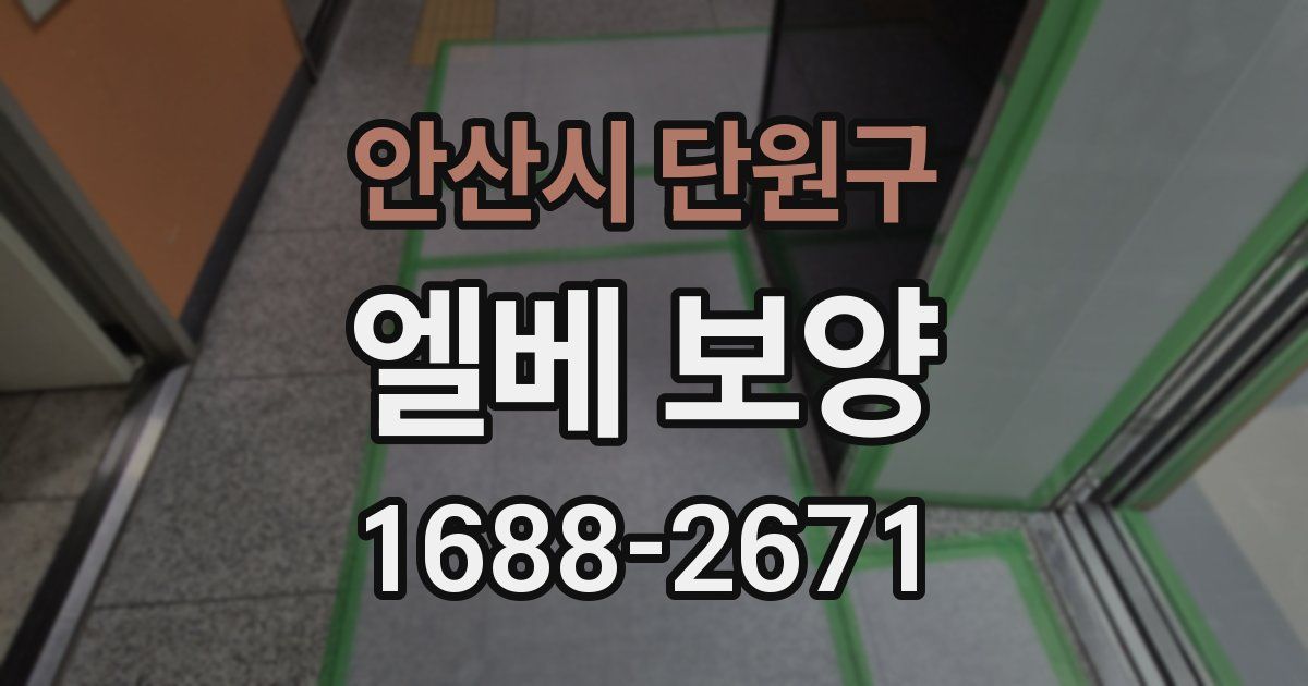 안산시 단원구 엘베 보양
