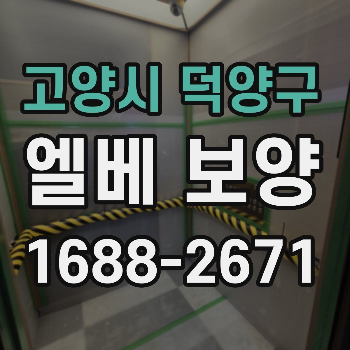 고양시 덕양구 엘베 보양 오래 쓰는 현장에 맞는 마감 선택법