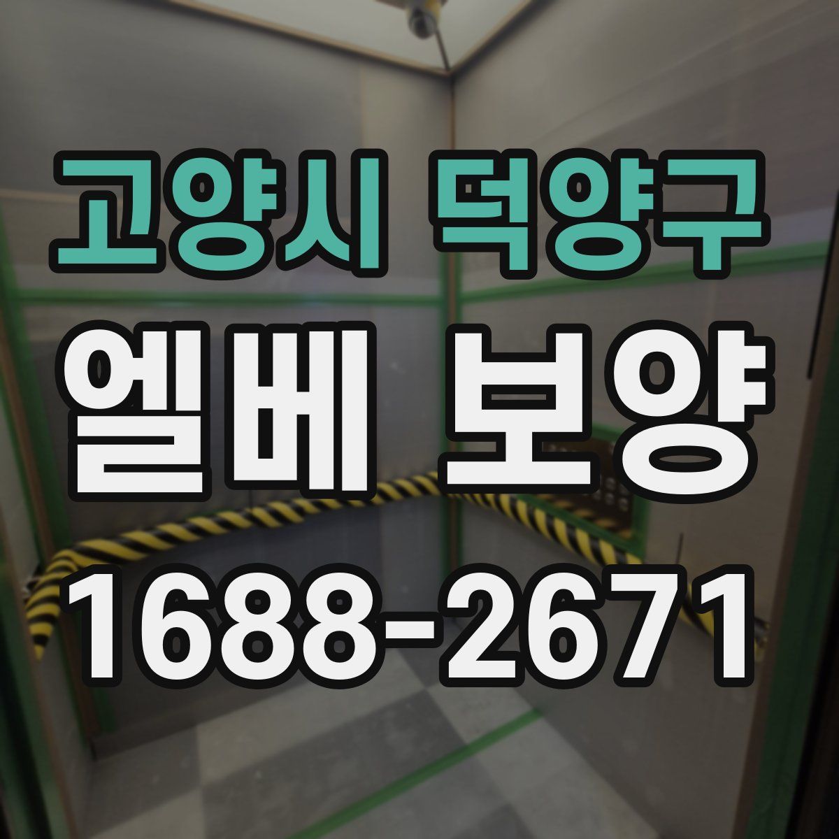 고양시 덕양구 엘베 보양