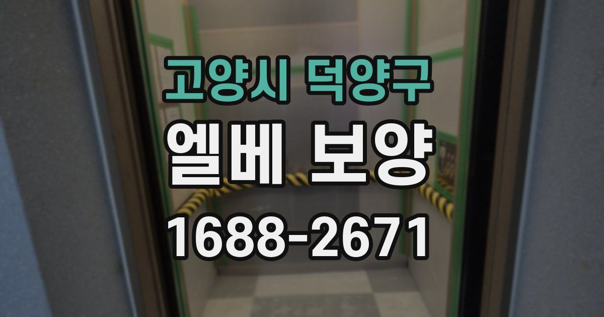 고양시 덕양구 엘베 보양