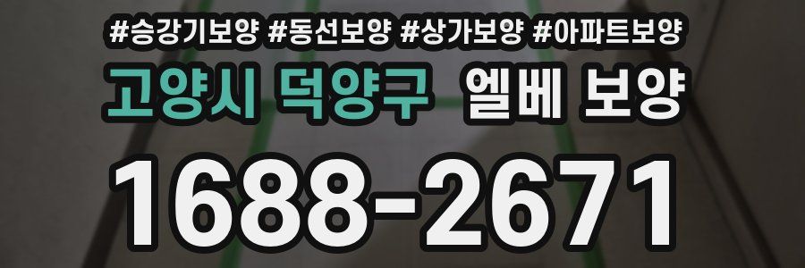 고양시 덕양구 엘베 보양